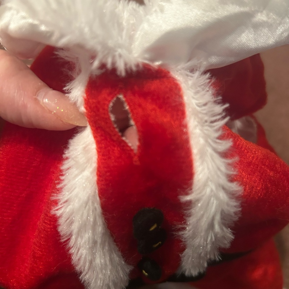 Red Santa Dog Dress with White Trim - Picture 14 of 15